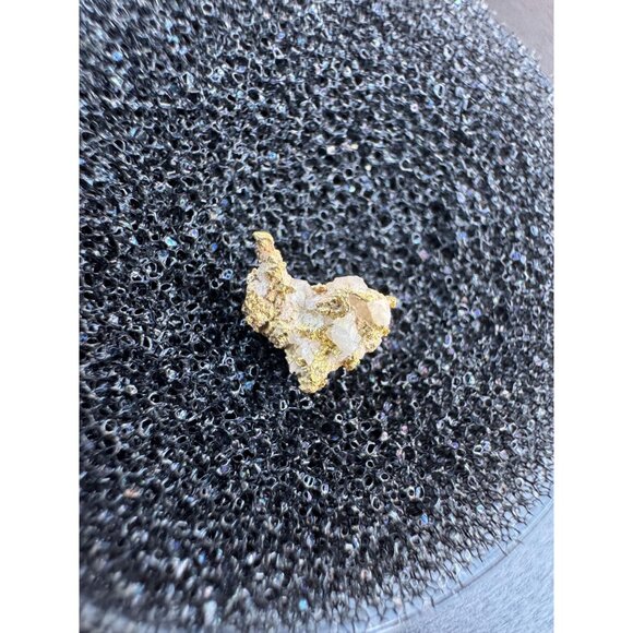 Gold Nugget - Grass Valley, California - 0.25 grams - Picture 7 of 7